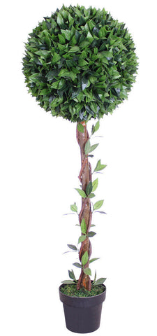 Kirschlorbeerkugelbaum mit Naturstamm 130 cm