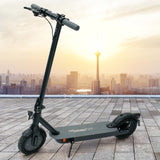 Elektroroller 10 Zoll Reifen. Cityroller E-Roller E-Scooter 20 km/h - Reichweite 40 Kilometer. 350 Watt Nabenmotor.
