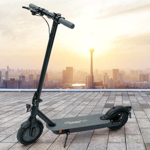 Elektroroller 10 Zoll Reifen. Cityroller E-Roller E-Scooter 20 km/h - Reichweite 40 Kilometer. 350 Watt Nabenmotor.