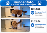 Überwachungskamera mit Einzelbild-Aufnahmen. WO IST MEINE KATZE? (Hund, Kind etc.) – EIN BLICK IN DIE APP, UND DU SIEHST, OB SIE DA WAR!