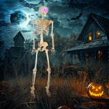 Animierte Halloween-Dekoration – Skelett mit LED-Augen, Sound & Bewegung, 152 cm