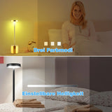 LED kabellose Designer-Tischlampe. Lampe mit Dimmung. Akkubetrieb. Nachttisch, Gartentisch. Exklusiv. Touch-Funktion