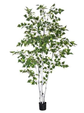 Birkenbaum, Kunstpflanze, 150 cm - 210 cm Höhe