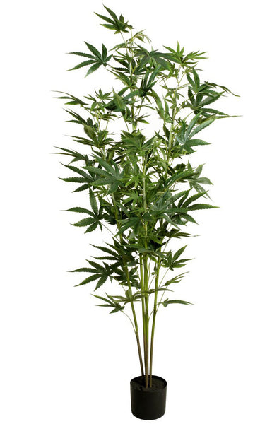Künstliche Hanfpflanze Cannabis-Pflanze Marihuana Haschpflanze 1,50 Me –  Poochy-Couture