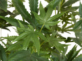 Künstliche Hanfpflanze Cannabis-Pflanze Marihuana Haschpflanze 1,50 Meter