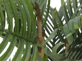 Künstliche Kentia-Palme 1,40 Meter mit 19 Palmwedeln
