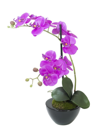 Orchideen-Arrangement inkl. edlem Dekotopf