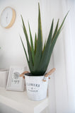 Künstliche Aloe-Vera Pflanze 60cm