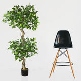 Künstlicher Ficus-Benjamini 150 cm mit 2 Baumkronen. Zierpflanze, Ziergewächs.