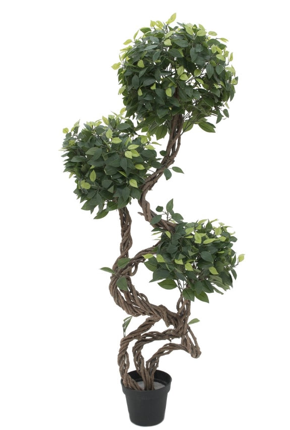 Künstlicher Ficus-Benjamini-Baum mit natürlichem Spiralstamm. 130 cm