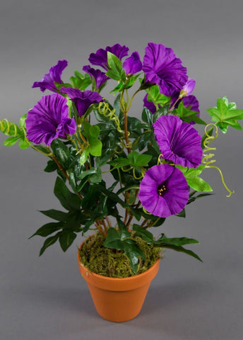 Petunienbusch 40 cm lila im Topf