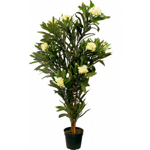 Künstlicher Oleanderbaum mit Blüten und Seidenblättern. 120 cm. Pflegefrei. Blüten: Creme