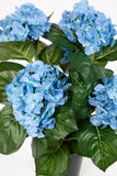 Hortensienbusch blau, 42 cm, im Topf.